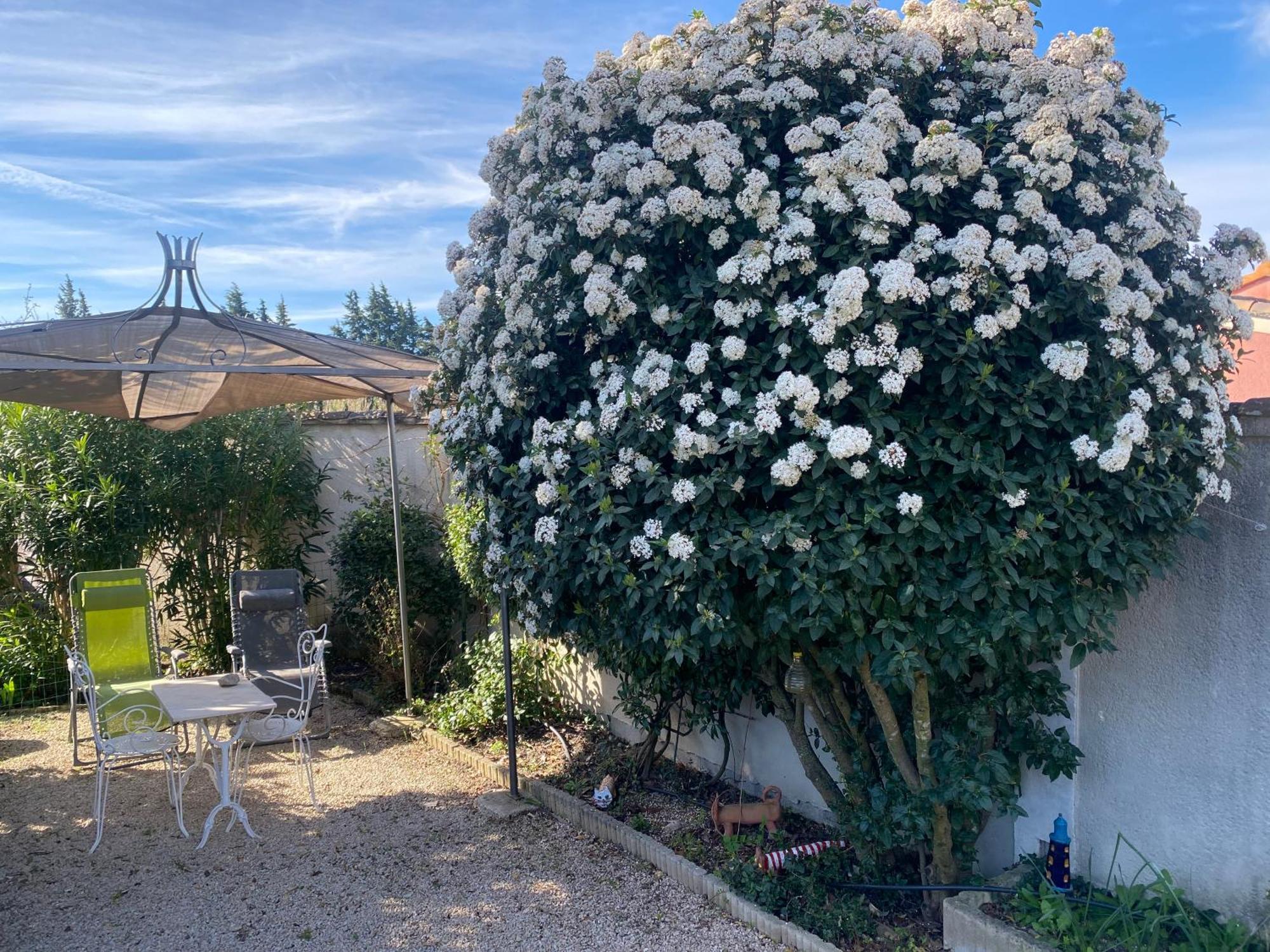 Villa La Roubine, Velleron Extérieur photo